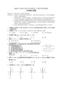 安徽省马鞍山市2020届高三第二次教学质量检测（二模）文科数学试题含答案