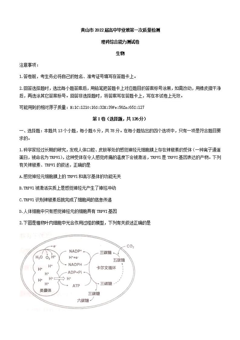 安徽省黄山市2021-2022学年高三上学期第一次质量检测生物试题无答案第1页