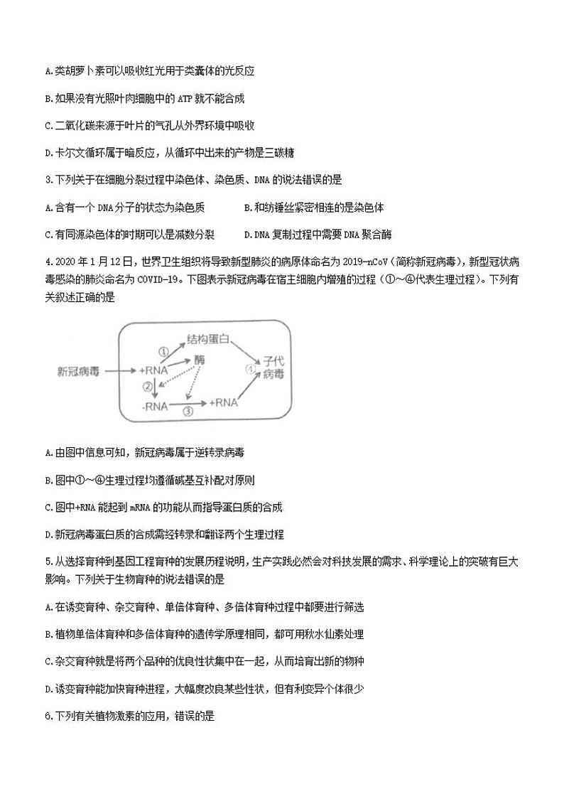 安徽省黄山市2021-2022学年高三上学期第一次质量检测生物试题无答案第2页