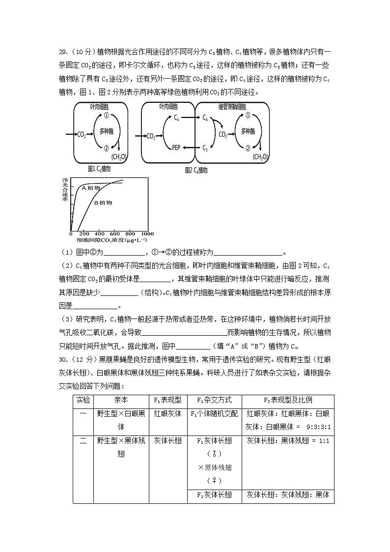 黑龙江省鹤岗市第一中学2022届高三上学期期末考试生物试题含答案第3页