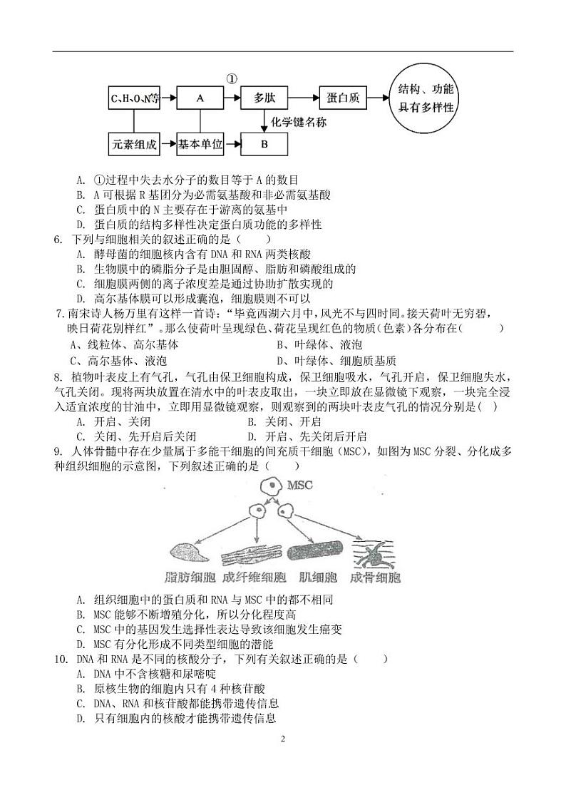广东省梅州市兴宁市2021-2022学年高一上学期综合能力竞赛模拟生物试题PDF版含答案02