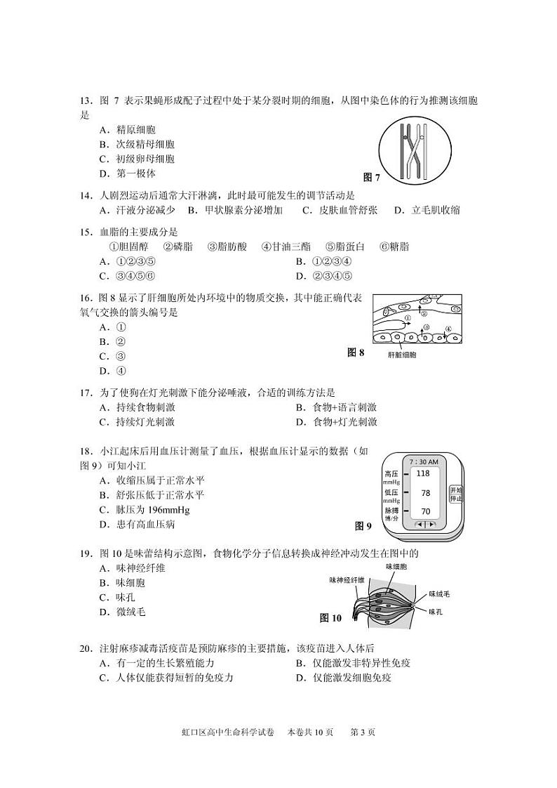 2021届上海虹口区高三上学期期终学生学习能力诊断测试生物（等级）试卷  2020.12 PDF版第3页