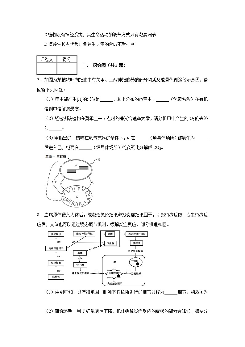 2020年安徽省黄山市高考生物二模试卷_(带答案解析).docx第3页