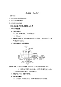 2022年浙江高考生物一轮复习 考点06 光合作用（含答案解析）