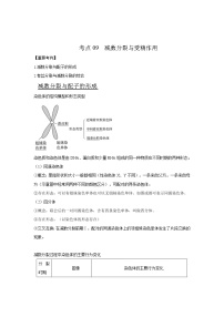 2022年浙江高考生物一轮复习 考点09 减数分裂与受精作用（含答案解析）