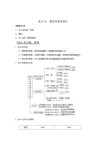 2022年浙江高考生物一轮复习 考点13 遗传信息的表达（含答案解析）