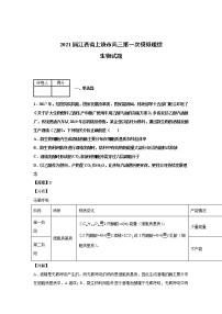 2021届江西省上饶市高三第一次模拟理综生物试题（含答案解析）