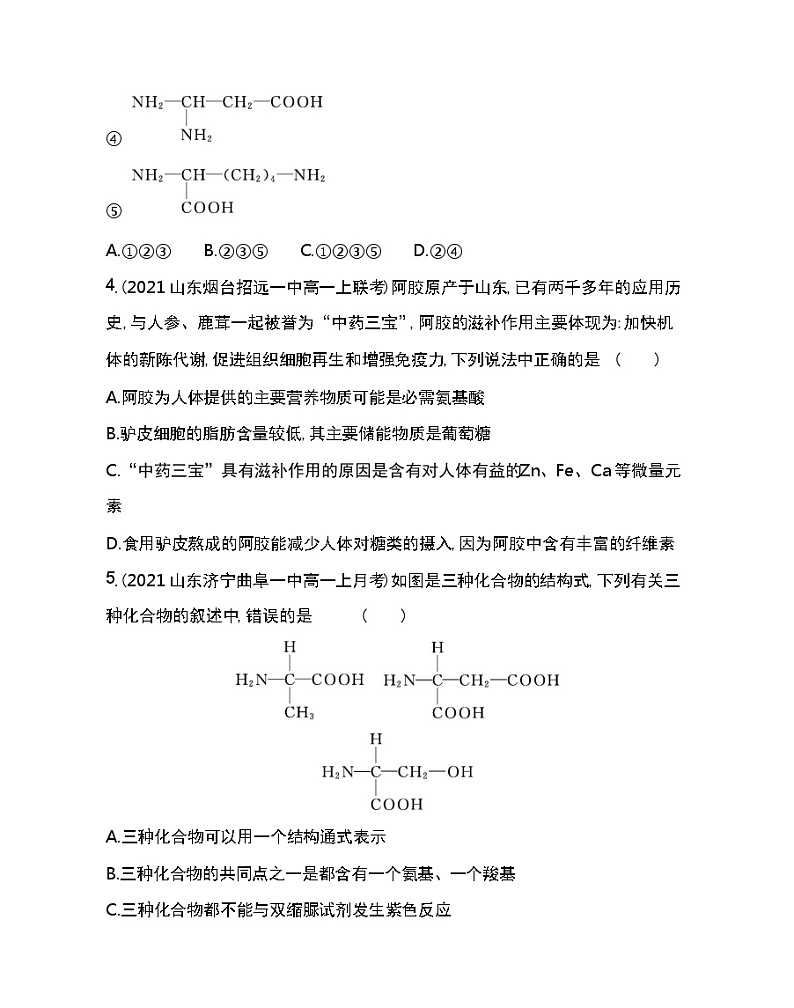 第4节　蛋白质是生命活动的主要承担者-2022版生物必修第一册人教版（2019） 同步练习 （Word含解析）第2页