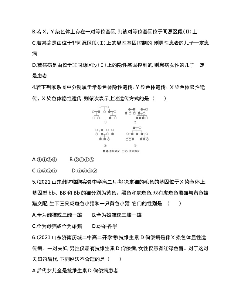 第3节　伴性遗传-2022版生物必修第二册人教版（2019） 同步练习 （Word含解析）02