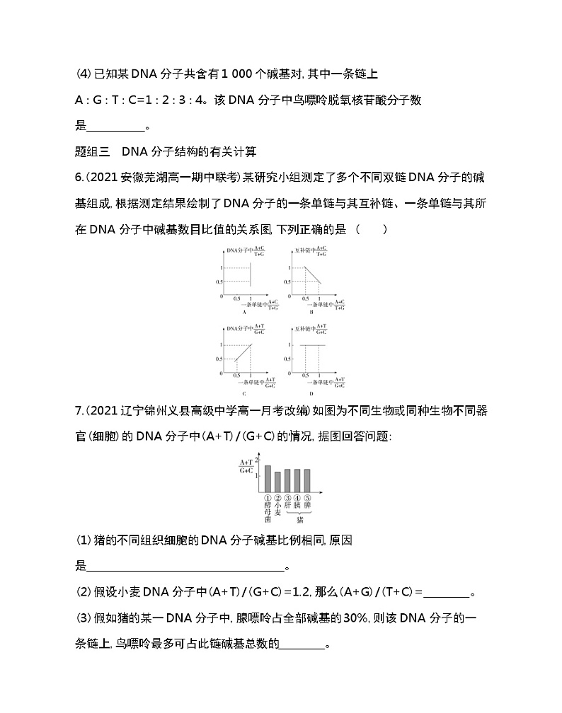 第2节　DNA的结构-2022版生物必修第二册人教版（2019） 同步练习 （Word含解析）03