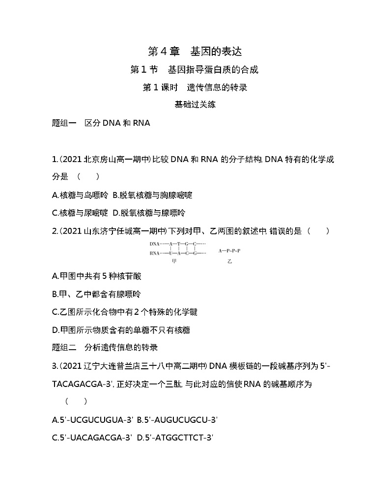 第1节　基因指导蛋白质的合成-2022版生物必修第二册人教版（2019） 同步练习 （Word含解析）第1页