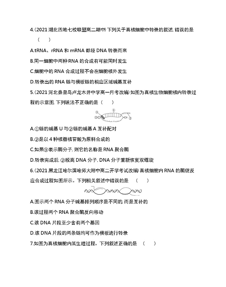 第1节　基因指导蛋白质的合成-2022版生物必修第二册人教版（2019） 同步练习 （Word含解析）第2页