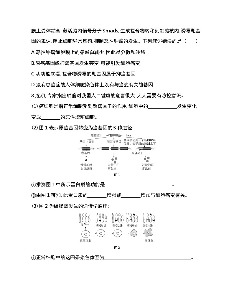 第1节　基因突变和基因重组-2022版生物必修第二册人教版（2019） 同步练习 （Word含解析）第3页