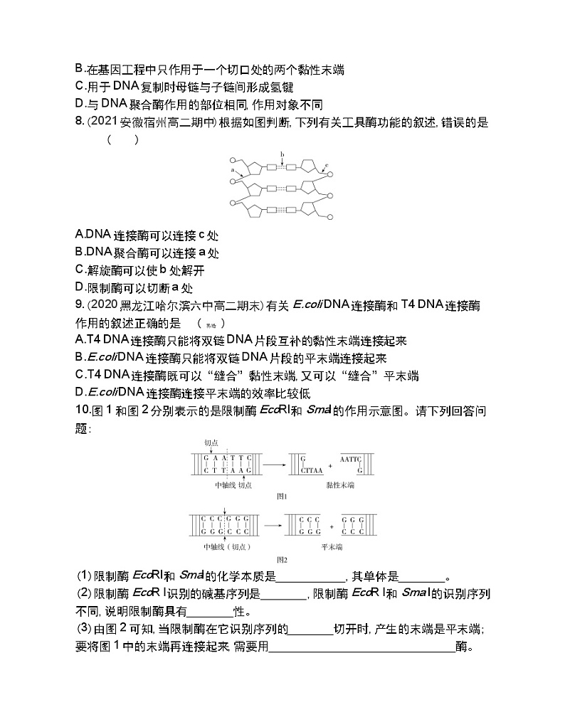 第1课时　重组DNA技术的基本工具-2022版生物选择性必修3人教版（2019） 同步练习 （Word含解析）03