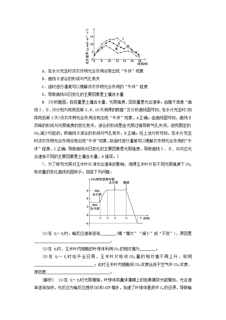 高考生物一轮复习课后集训11光合作用Ⅱ含解析 试卷03