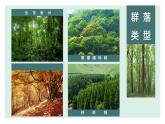初识群落-高中生物课件PPT