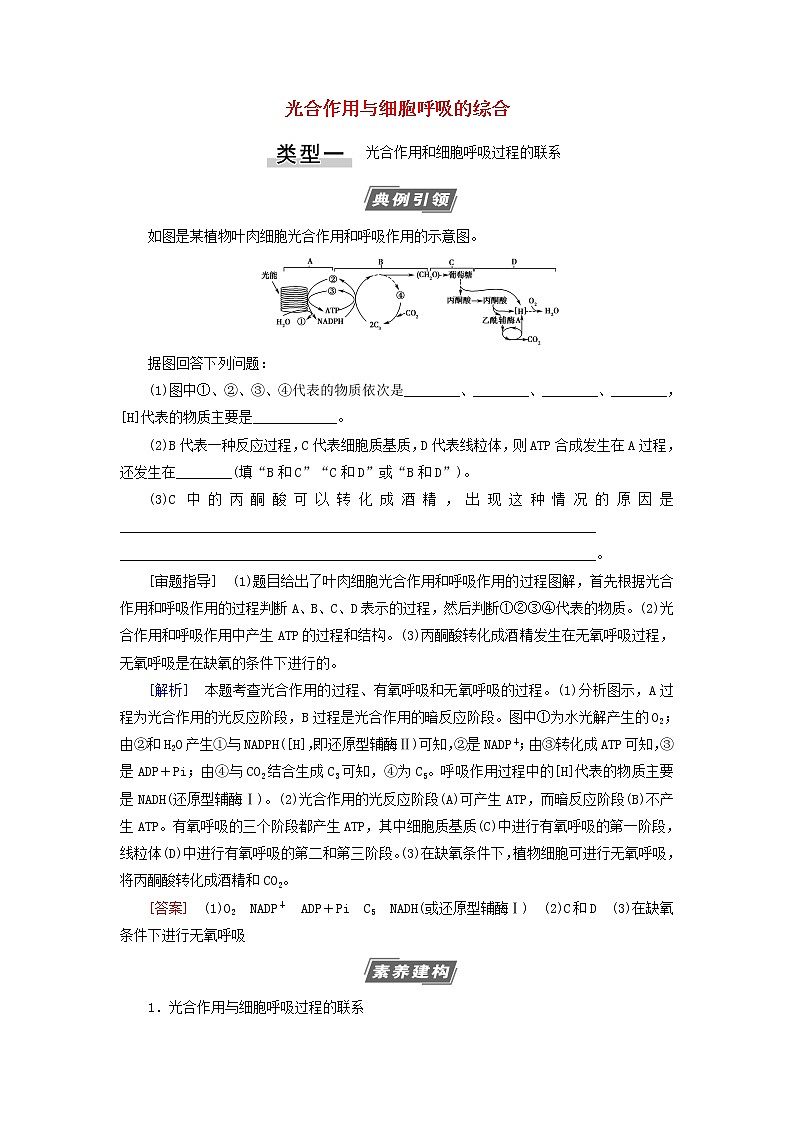 高考生物一轮复习第3单元细胞的能量供应和利用素养加强课2光合作用与细胞呼吸的综合学案01