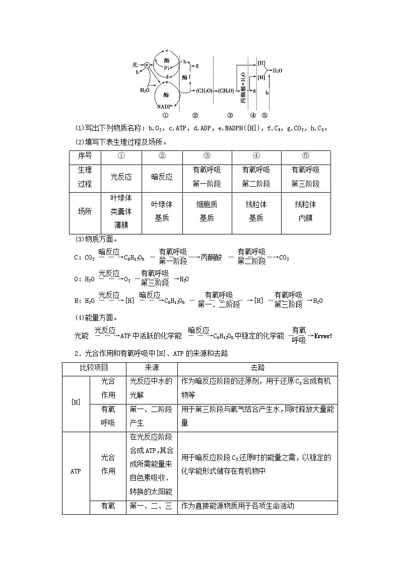 高考生物一轮复习第3单元细胞的能量供应和利用素养加强课2光合作用与细胞呼吸的综合学案02