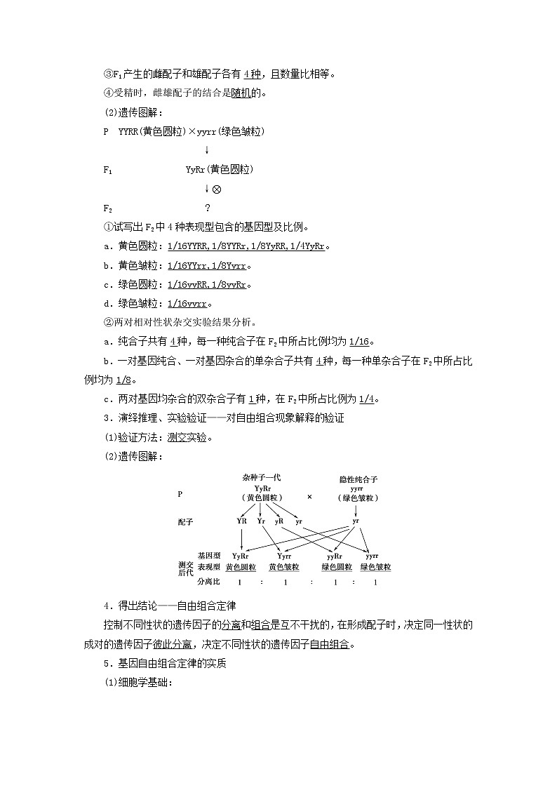 高考生物一轮复习第5单元遗传定律和伴性遗传第2讲孟德尔的豌豆杂交实验二学案第2页
