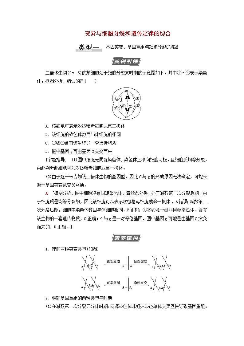 高考生物一轮复习第7单元生物的变异育种与进化素养加强课7变异与细胞分裂和遗传定律的综合学案01