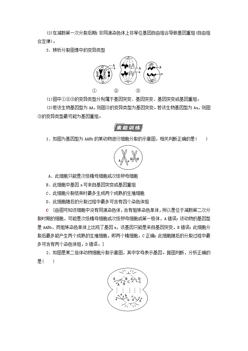 高考生物一轮复习第7单元生物的变异育种与进化素养加强课7变异与细胞分裂和遗传定律的综合学案02