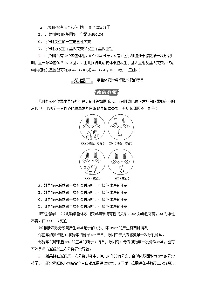 高考生物一轮复习第7单元生物的变异育种与进化素养加强课7变异与细胞分裂和遗传定律的综合学案03