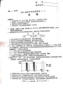 湖南省衡阳市2021届高三下学期3月高中毕业班联考（一）（一模）生物试题含答案