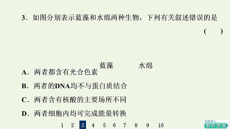 高考生物一轮复习课后集训1走近细胞课件第6页