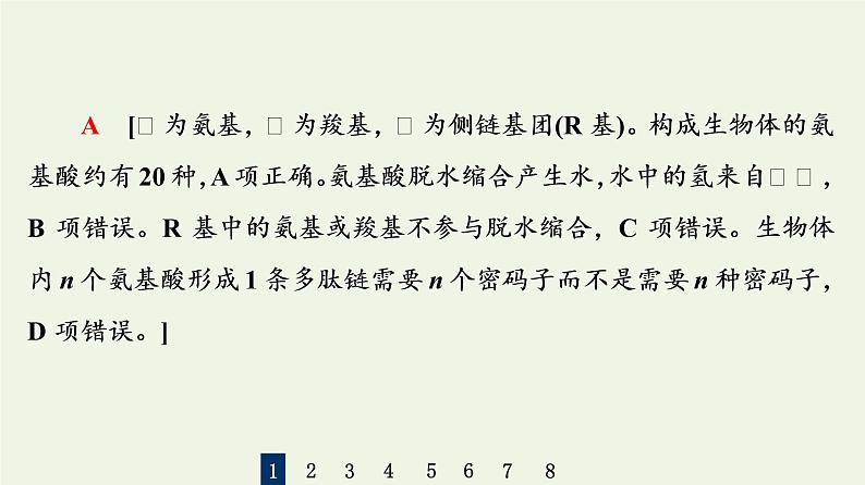 高考生物一轮复习课后集训3生命活动的主要承担者__蛋白质课件第4页