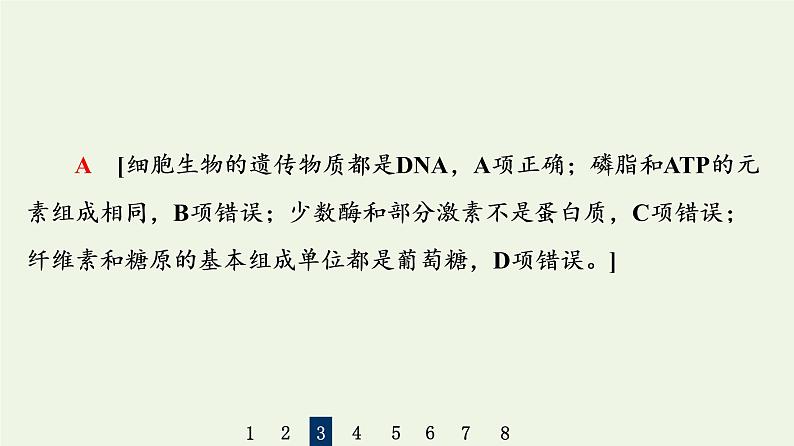 高考生物一轮复习课后集训4核酸糖类和脂质课件08