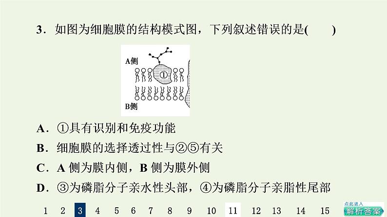 高考生物一轮复习课后集训5细胞膜和细胞核课件第6页