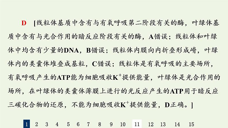 高考生物一轮复习课后集训6细胞器__系统内的分工合作课件第4页