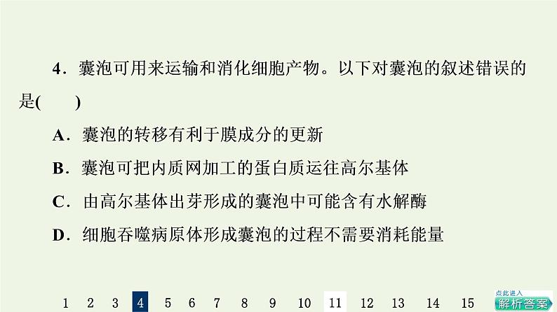 高考生物一轮复习课后集训6细胞器__系统内的分工合作课件第8页