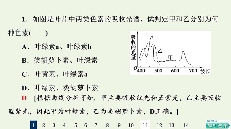 高考生物一轮复习课后集训10光合作用Ⅰ课件第3页