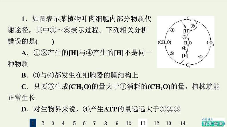 高考生物一轮复习课后集训11光合作用Ⅱ课件第3页