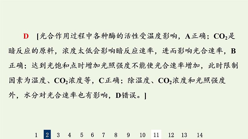 高考生物一轮复习课后集训11光合作用Ⅱ课件第6页