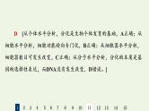 高考生物一轮复习课后集训14细胞的分化衰老凋亡和癌变课件
