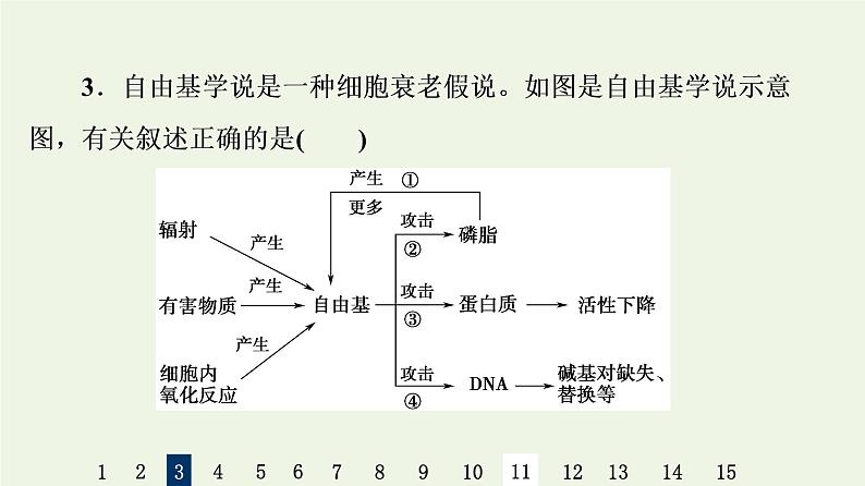 高考生物一轮复习课后集训14细胞的分化衰老凋亡和癌变课件第7页