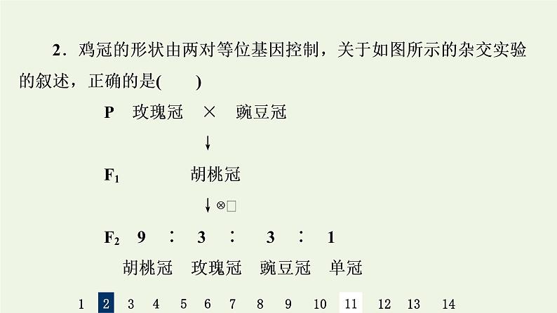 高考生物一轮复习课后集训16孟德尔的豌豆杂交实验二课件第4页