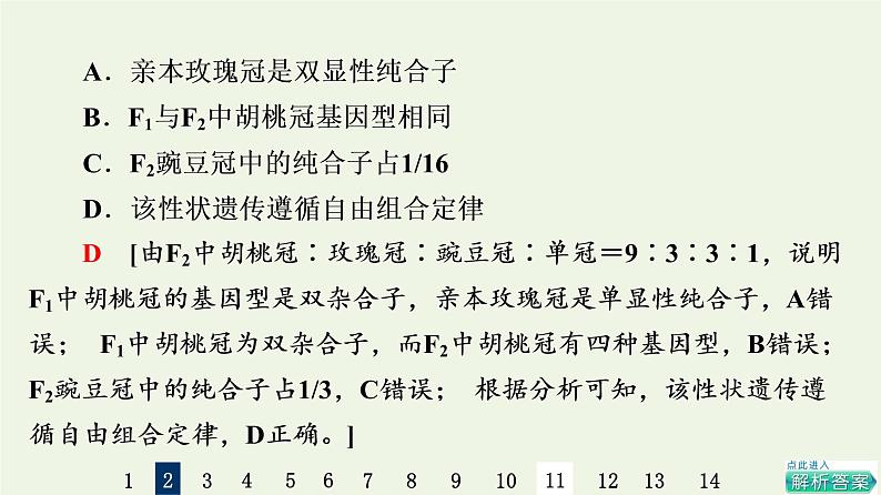 高考生物一轮复习课后集训16孟德尔的豌豆杂交实验二课件第5页