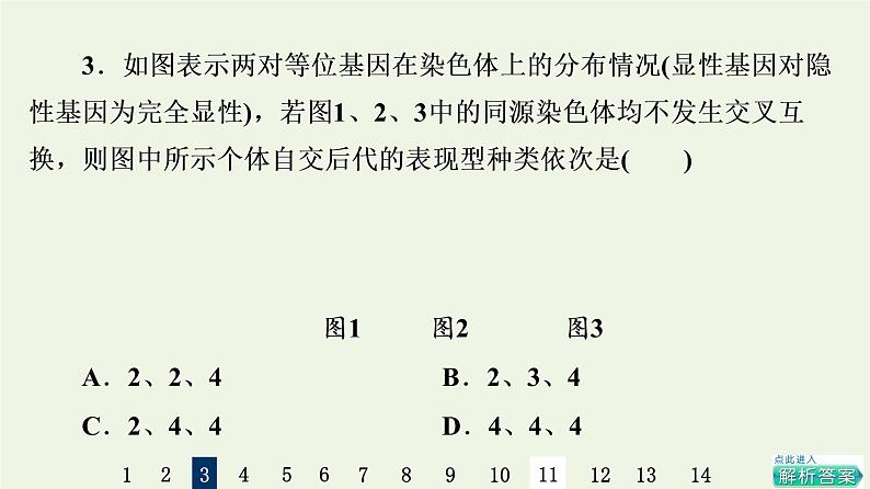 高考生物一轮复习课后集训16孟德尔的豌豆杂交实验二课件第6页