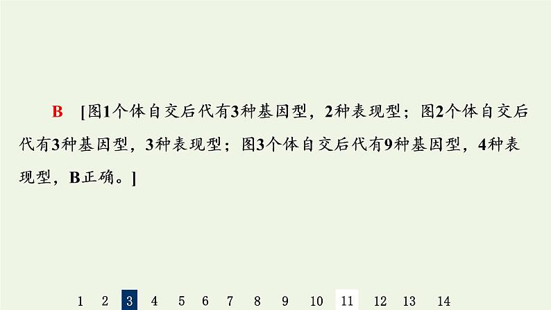 高考生物一轮复习课后集训16孟德尔的豌豆杂交实验二课件第7页