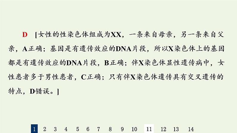 高考生物一轮复习课后集训17基因在染色体上和伴性遗传课件第4页