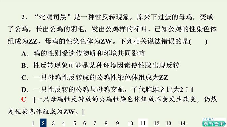 高考生物一轮复习课后集训17基因在染色体上和伴性遗传课件第5页