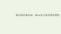 高考生物一轮复习课后集训18DNA是主要的遗传物质课件