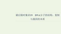 高考生物一轮复习课后集训19DNA分子的结构复制与基因的本质课件