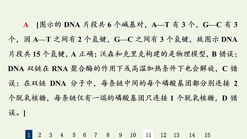 高考生物一轮复习课后集训19DNA分子的结构复制与基因的本质课件05