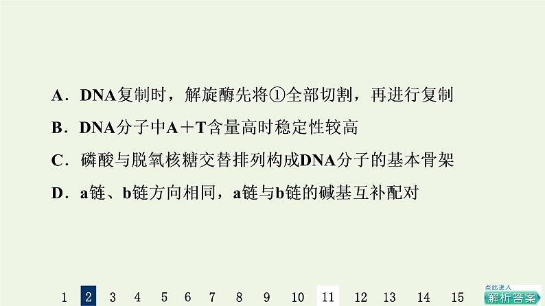 高考生物一轮复习课后集训19DNA分子的结构复制与基因的本质课件07