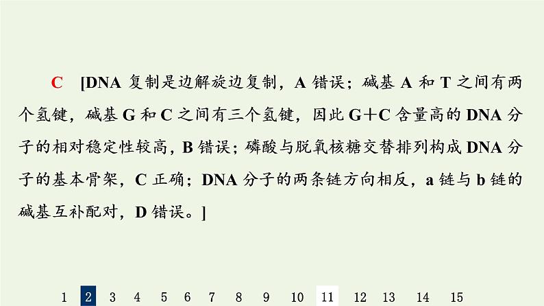 高考生物一轮复习课后集训19DNA分子的结构复制与基因的本质课件08