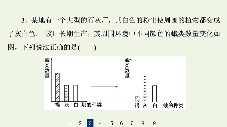 高考生物一轮复习课后集训24现代生物进化理论课件第7页